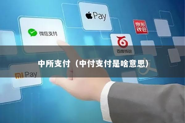 中所支付(中付支付是啥意思)