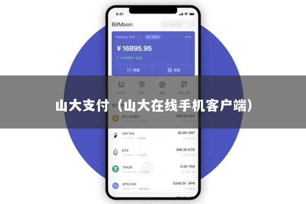 山大支付(山大在线手机客户端)