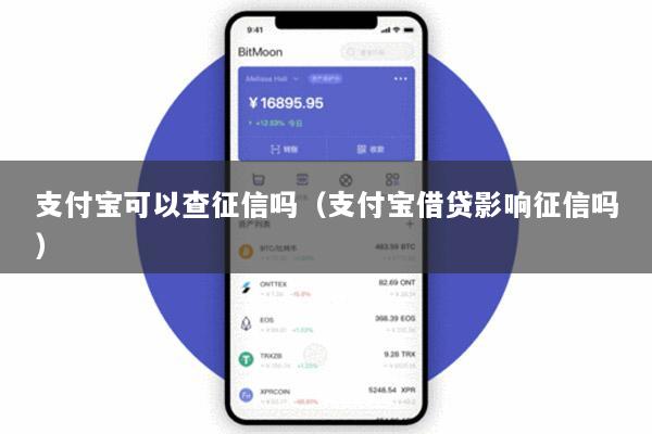 支付宝可以查征信吗(支付宝借贷影响征信吗)