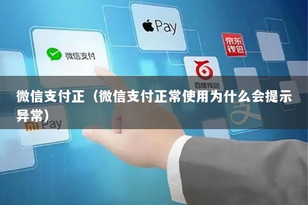 微信支付正(微信支付正常使用为什么会提示异常)