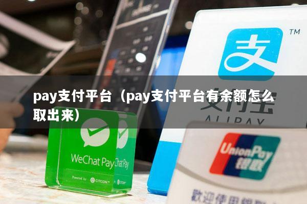 pay支付平台(pay支付平台有余额怎么取出来)