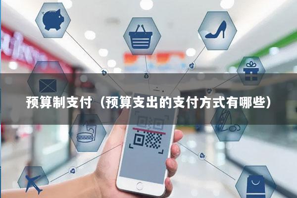 预算制支付(预算支出的支付方式有哪些)