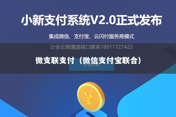 微支联支付(微信支付宝联合)