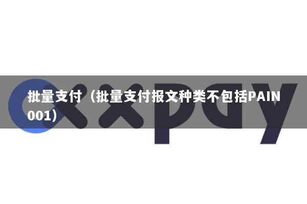 批量支付(批量支付报文种类不包括PAIN001)