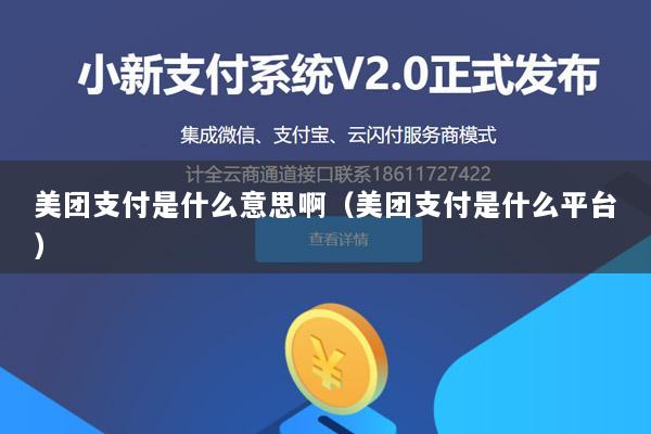 美团支付是什么意思啊(美团支付是什么平台)