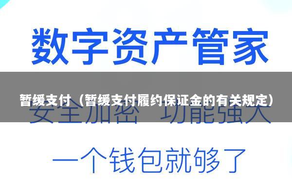 暂缓支付(暂缓支付履约保证金的有关规定)