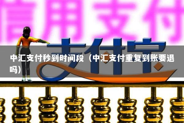 中汇支付秒到时间段(中汇支付重复到账要退吗)