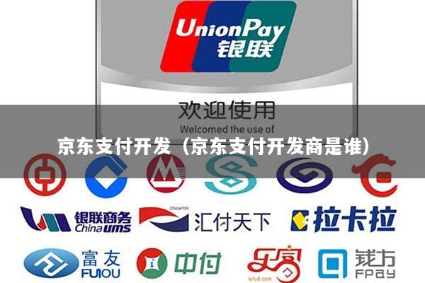 京东支付开发(京东支付开发商是谁)