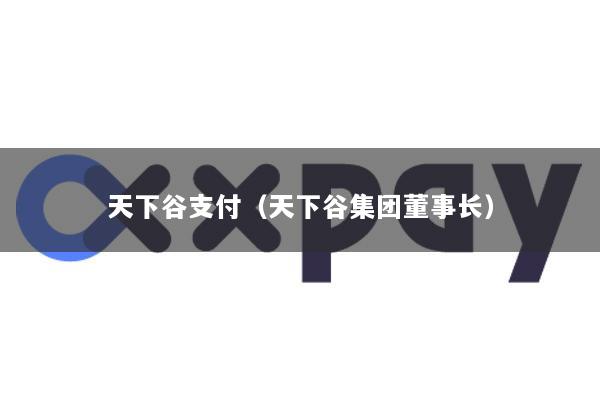 天下谷支付(天下谷集团董事长)