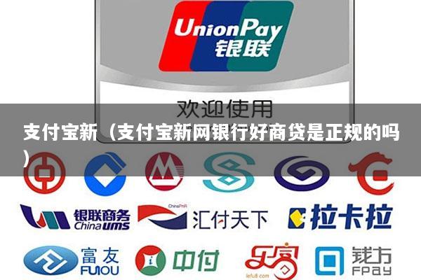 支付宝新(支付宝新网银行好商贷是正规的吗)
