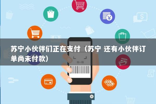 苏宁小伙伴们正在支付(苏宁 还有小伙伴订单尚未付款)