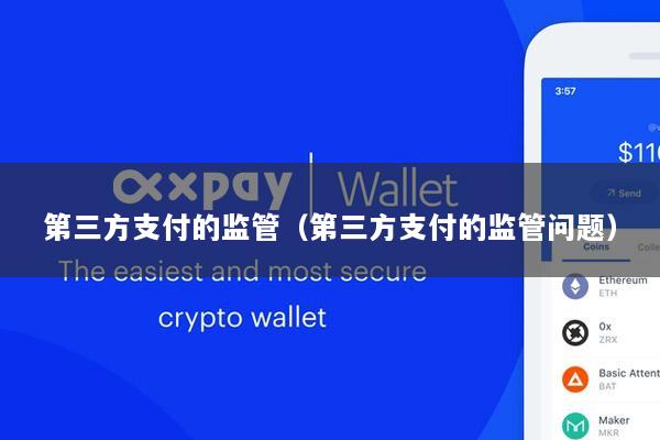 第三方支付的监管(第三方支付的监管问题)