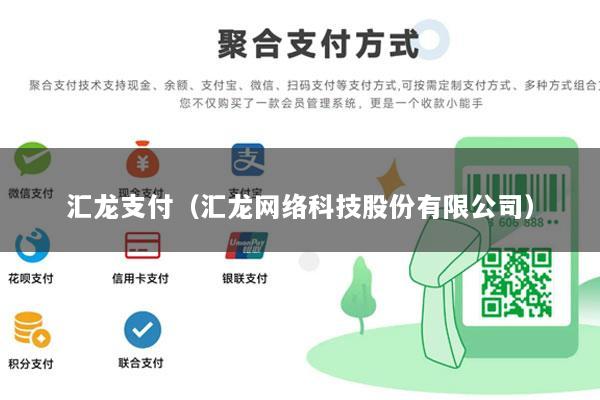 汇龙支付(汇龙网络科技股份有限公司)