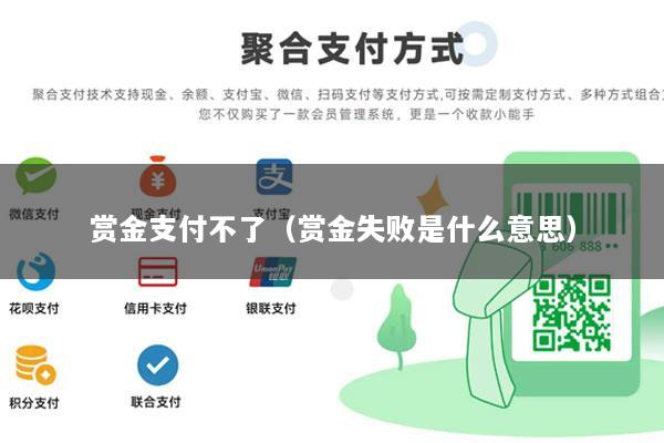 赏金支付不了(赏金失败是什么意思)