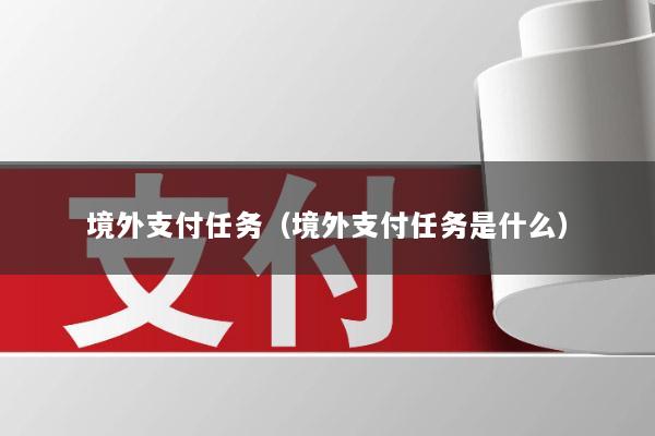 境外支付任务(境外支付任务是什么)