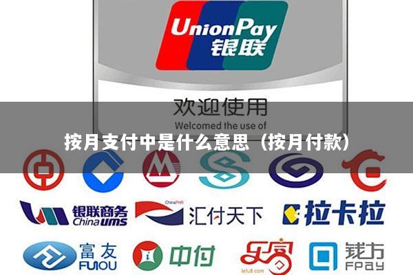 按月支付中是什么意思(按月付款)