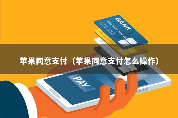 苹果同意支付(苹果同意支付怎么操作)