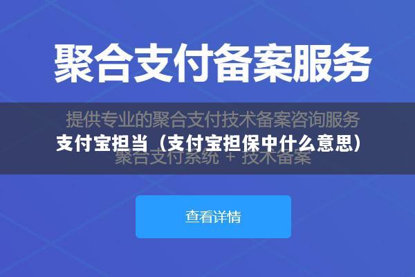 支付宝担当(支付宝担保中什么意思)