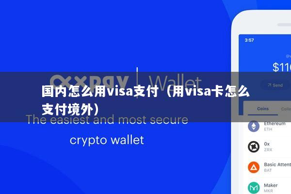 国内怎么用visa支付(用visa卡怎么支付境外)