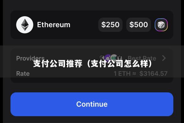 支付公司推荐(支付公司怎么样)