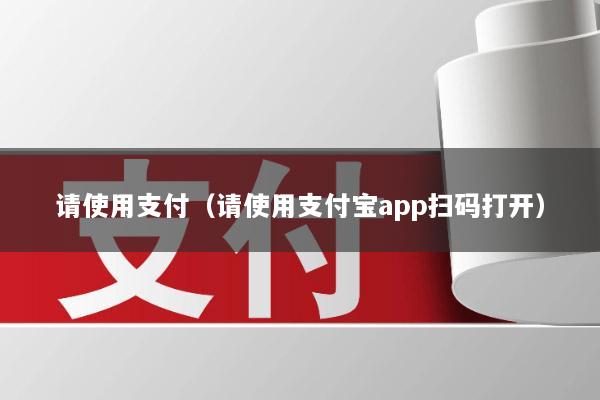 请使用支付(请使用支付宝app扫码打开)