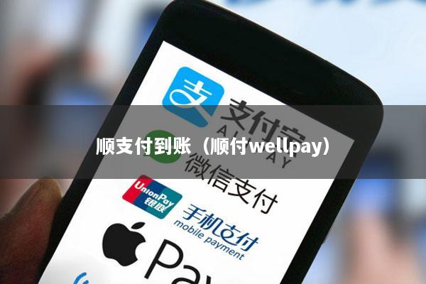 顺支付到账(顺付wellpay)