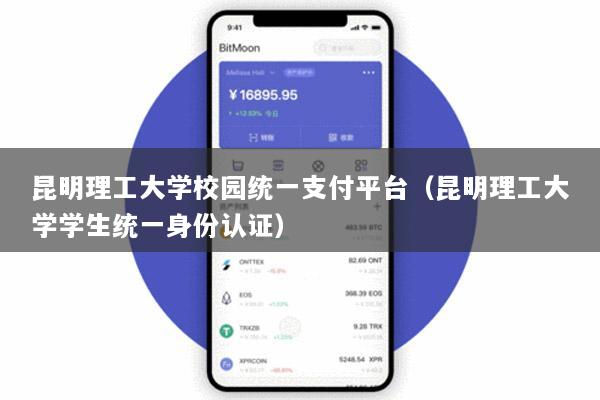 昆明理工大学校园统一支付平台(昆明理工大学学生统一身份认证)