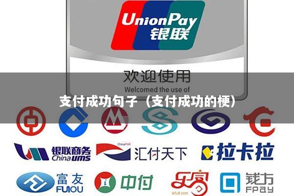 支付成功句子(支付成功的梗)