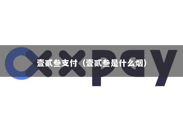 壹贰叁支付(壹贰叁是什么烟)