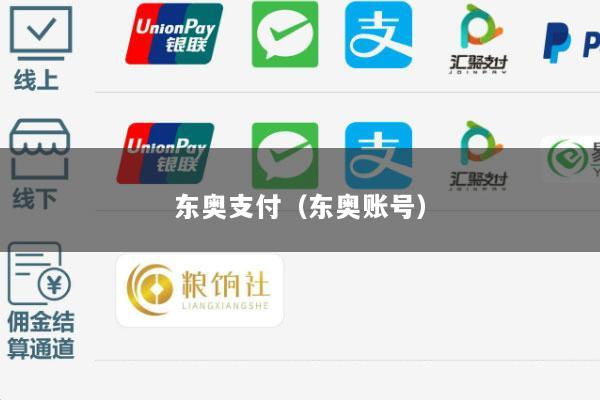 东奥支付(东奥账号)