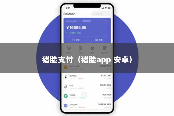 猪脸支付(猪脸app 安卓)