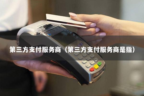第三方支付服务商(第三方支付服务商是指)