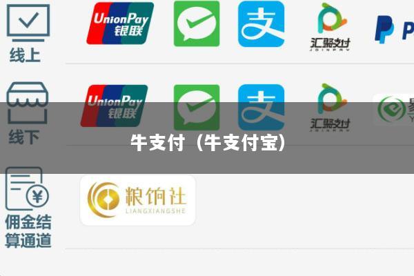 牛支付(牛支付宝)