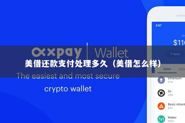 美借还款支付处理多久(美借怎么样)