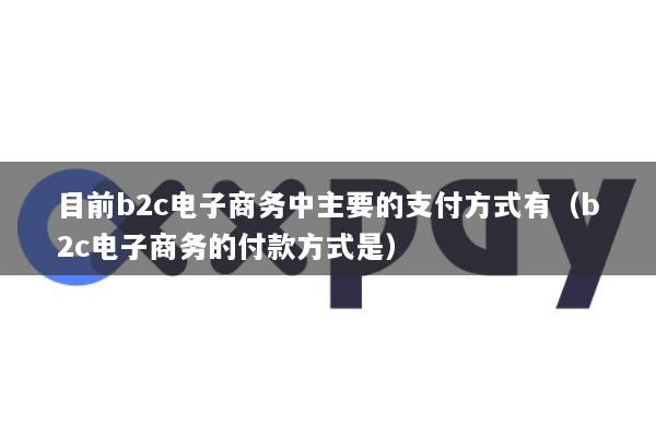 目前b2c电子商务中主要的支付方式有(b2c电子商务的付款方式是)