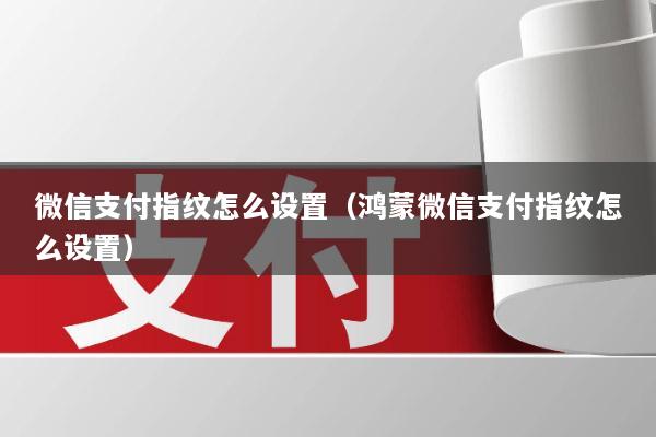 微信支付指纹怎么设置(鸿蒙微信支付指纹怎么设置)