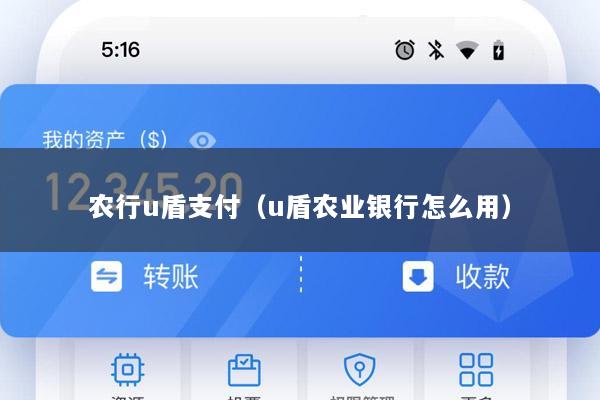 农行u盾支付(u盾农业银行怎么用)