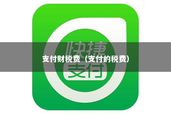 支付财税费(支付的税费)