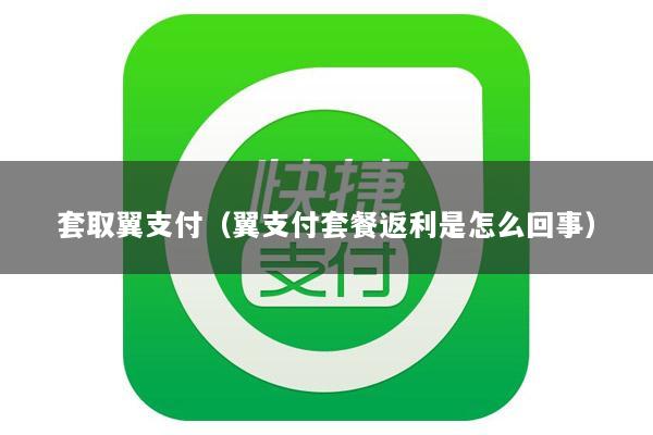 套取翼支付(翼支付套餐返利是怎么回事)