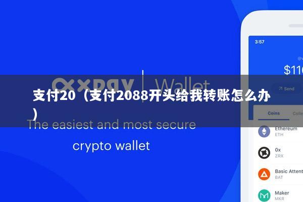 支付20(支付2088开头给我转账怎么办)