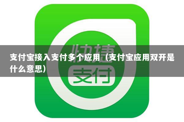 支付宝接入支付多个应用(支付宝应用双开是什么意思)
