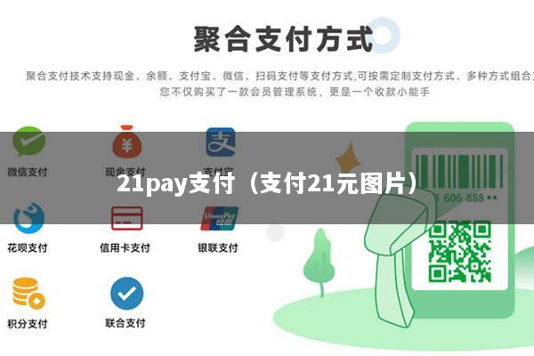 21pay支付(支付21元图片)