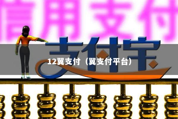12翼支付(翼支付平台)