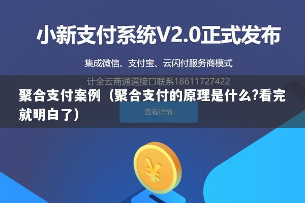 聚合支付案例(聚合支付的原理是什么?看完就明白了)