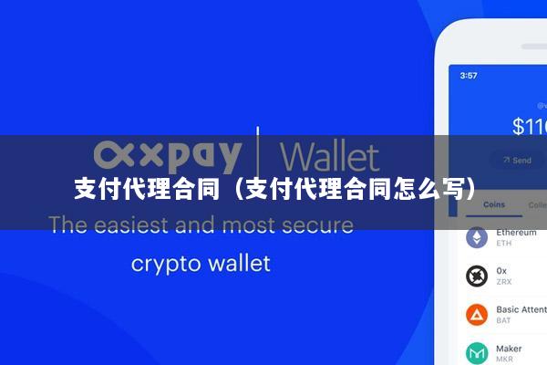 支付代理合同(支付代理合同怎么写)