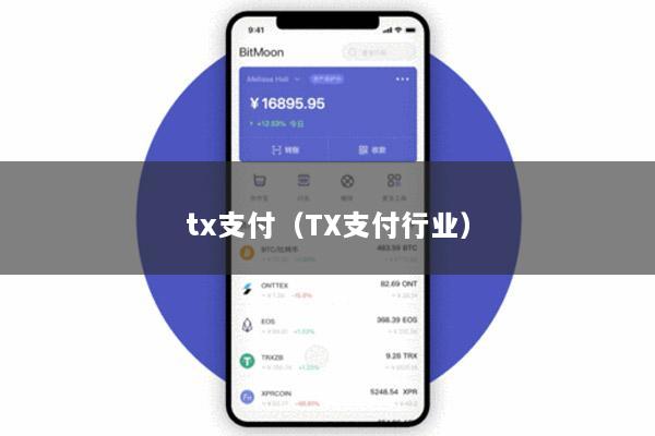 tx支付(TX支付行业)