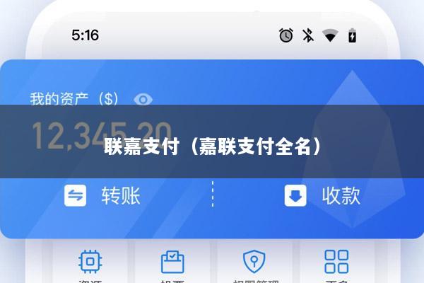 联嘉支付(嘉联支付全名)