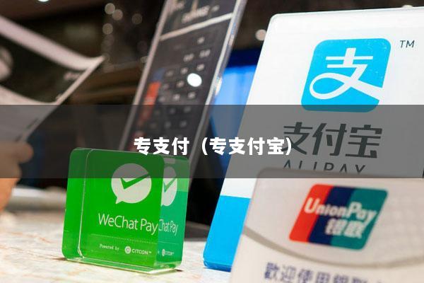 专支付(专支付宝)