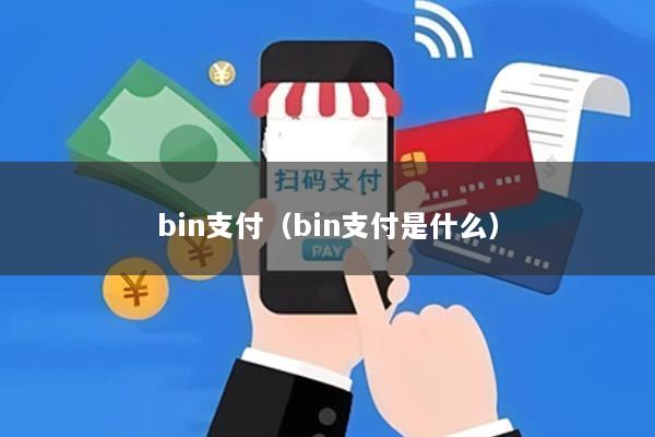 bin支付(bin支付是什么)