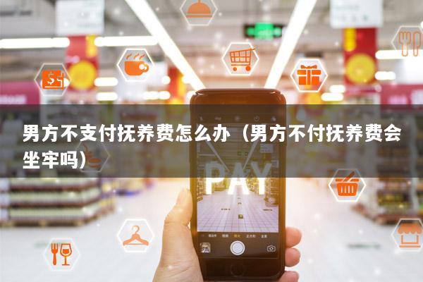 男方不支付抚养费怎么办(男方不付抚养费会坐牢吗)